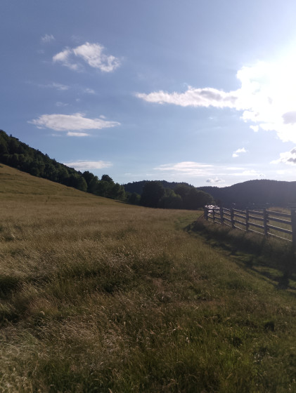 Chaumes au dessus du Lochberg