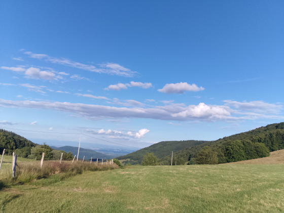 Chaumes au dessus du Lochberg