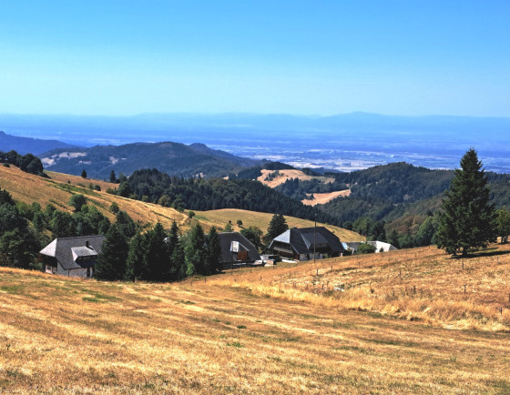 Chaumes de For&ecirc;t Noire & Vosges &agrave; l'horizon