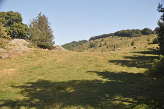 Chaumes vers la Fennematt Chaumes vers la Fennematt