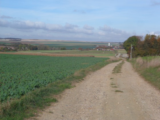 Chaussée Brunehaut