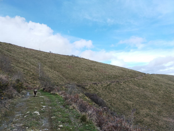 Chemin &agrave; flanc de colline en direction du col