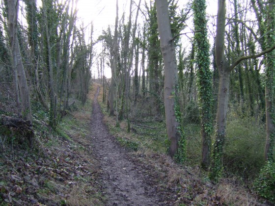 Chemin à la sortie de Crespières