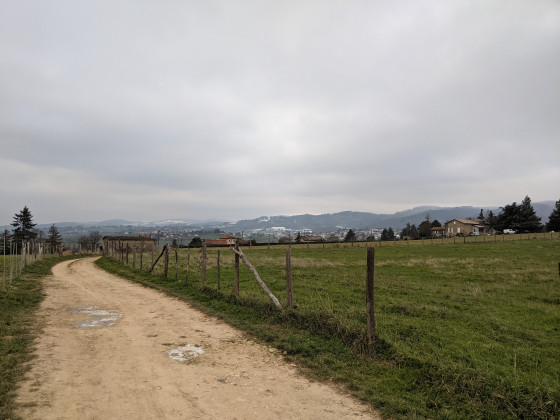 Chemin à travers la campagne