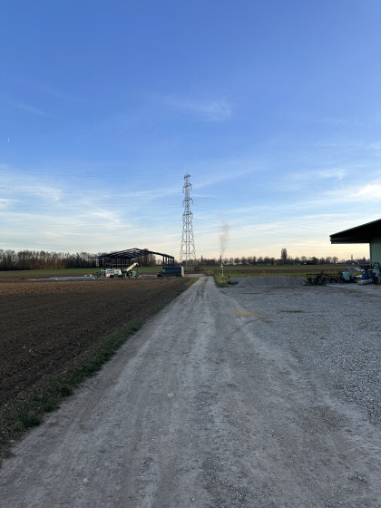 Dans les champs entre Merxheim et Gundolsheim