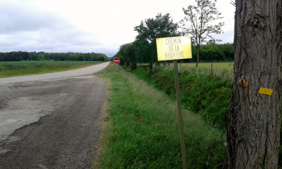 Chemin am&eacute;nag&eacute; pour passage du convoi de l'Airbus