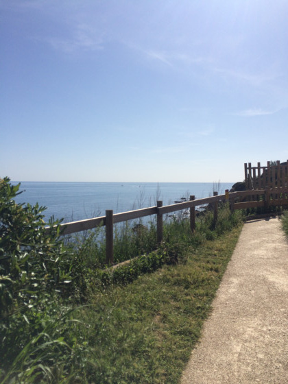 Chemin aménagé