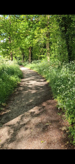 chemin an bordure de pr&eacute;s