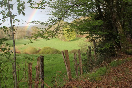 Chemin après la Malcôte