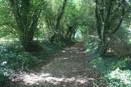 Chemin après la Rimbaudière