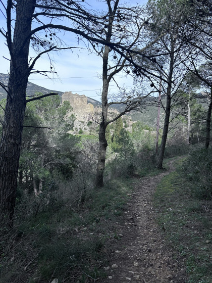 Chemin après la vue du chateau