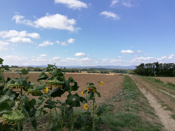 Chemin après le Pont renversé