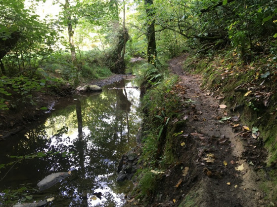 Chemin au bord du Cens