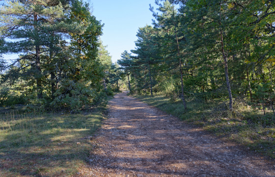 Chemin au départ