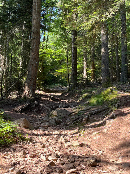 Chemin au départ