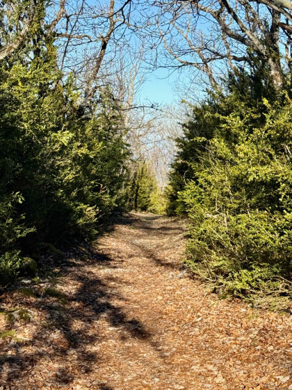 Chemin au-dessus de la Grotte