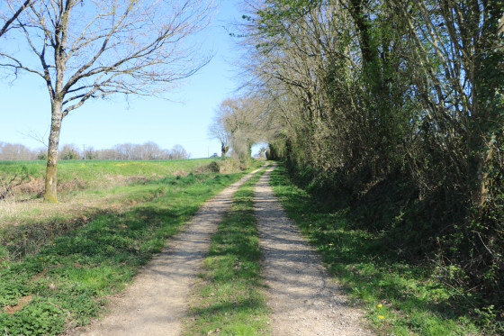 Chemin au Plan de Papeau