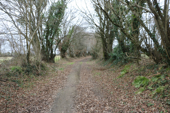 Chemin au Sud de la Guilletière