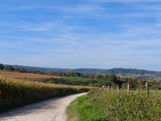 Chemin avec vue