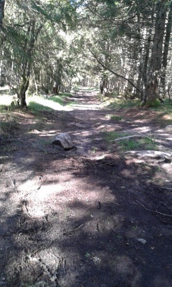 chemin bien agréable