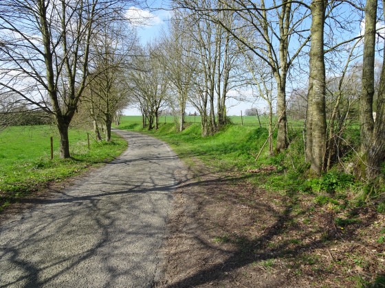 Chemin bocager