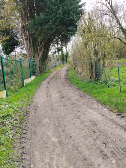 chemin bois&eacute;