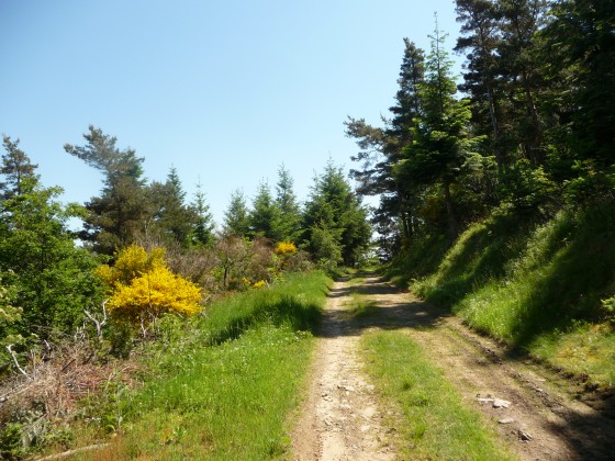 Chemin Bois de Fraychet
