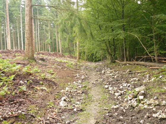 Chemin caillouteux