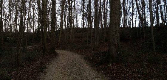 Chemin caillouteux