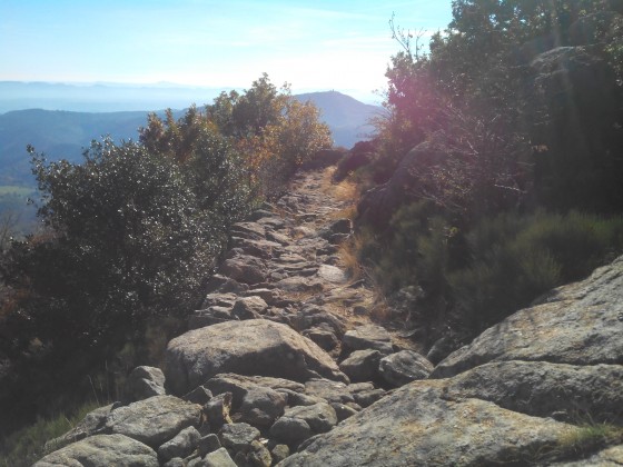 Chemin caladé