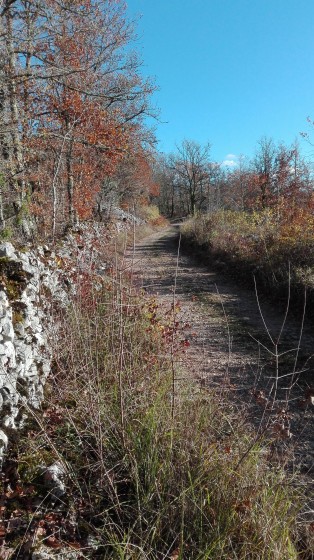 Chemin castiné