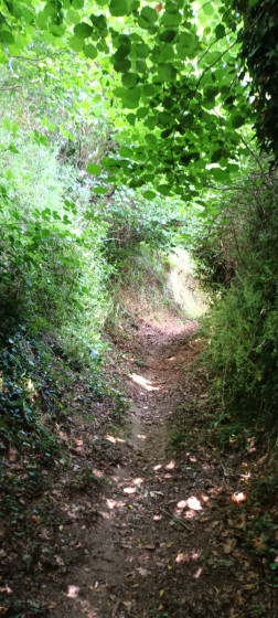 chemin creux ancien