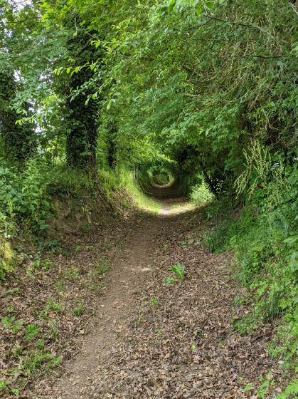 Chemin creux du vallon de Saint Buc