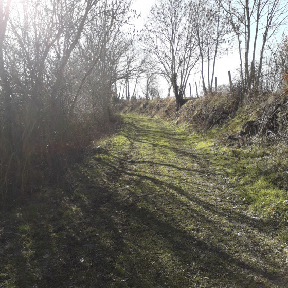 Chemin creux en montée