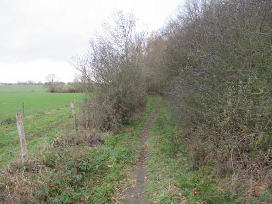 Chemin creux