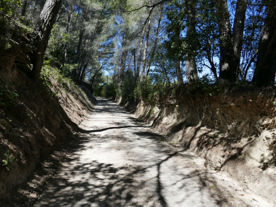 Chemin creux
