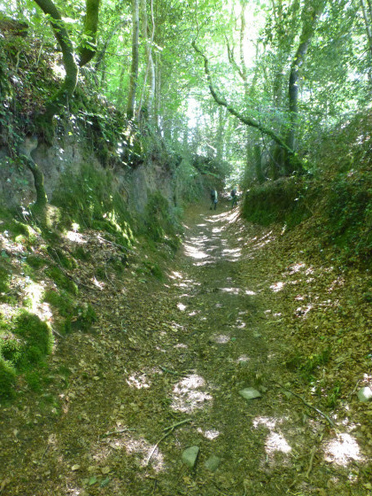 chemin creux