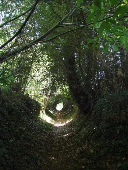 Chemin creux
