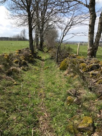 chemin creux