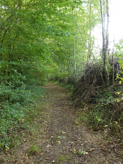 Chemin creux