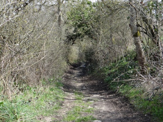 Chemin creux