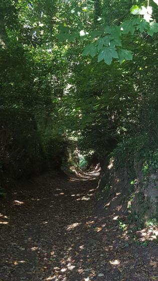 Chemin creux