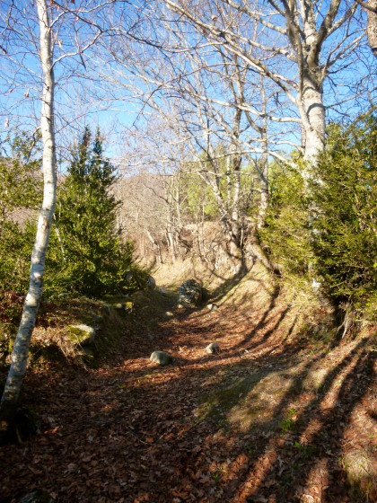 Chemin creux