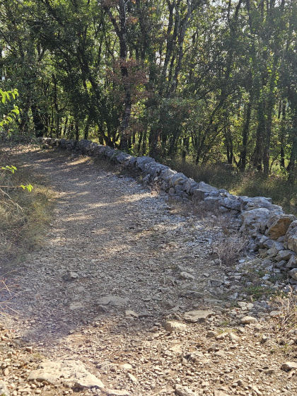 Chemin d\'accès au château