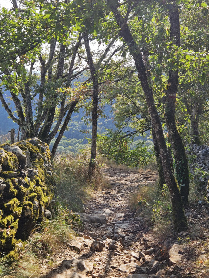 Chemin d’accès au château