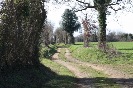Chemin d'exploitation à l'approche de l'Epine.