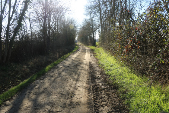 Chemin d\'exploitation allant vers Vernoux sur Boutonne