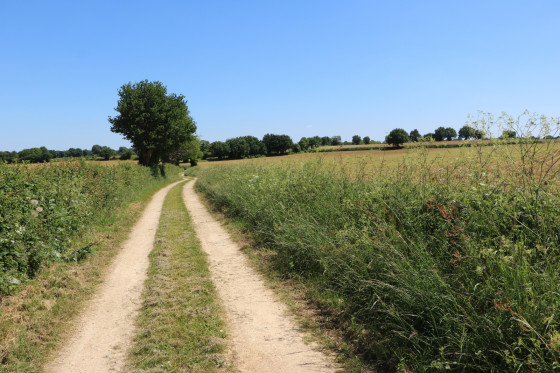 Chemin après Maulay