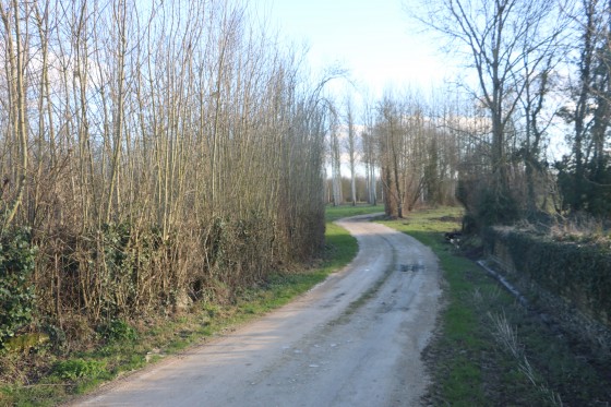 Chemin d\'exploitation (chemin blanc)