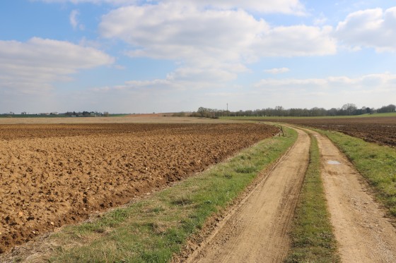 Chemin dans la plaine